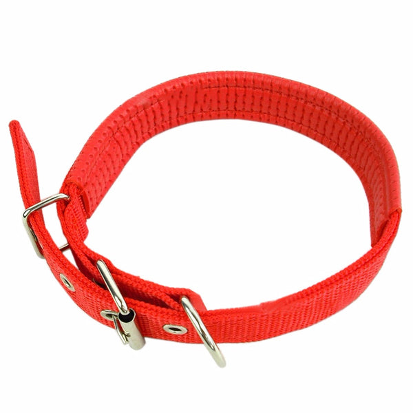 Soft Liner Padded Dog Collar