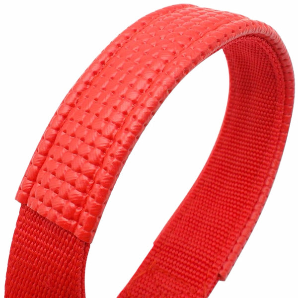 Soft Liner Padded Dog Collar
