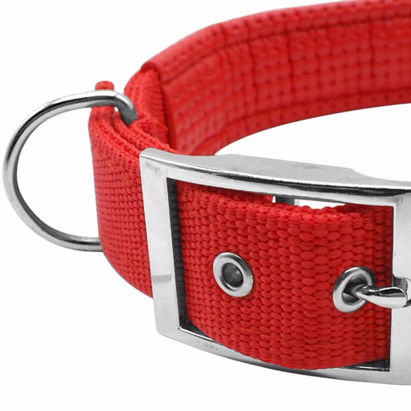 Soft Liner Padded Dog Collar