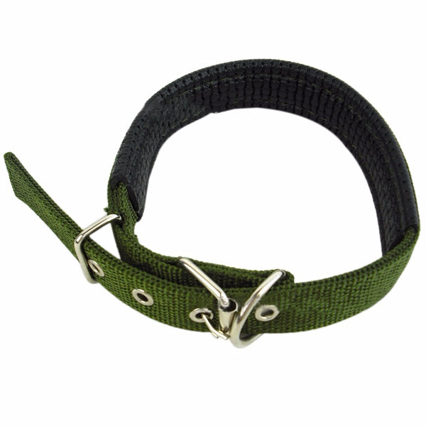 Soft Liner Padded Dog Collar
