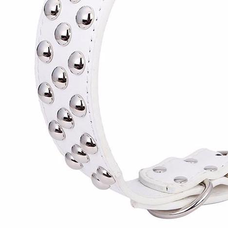 3 Rows Studs Large Dog Collar