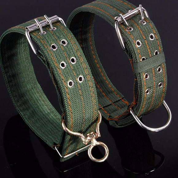 Army Green Adjustable Pet Dog Collar