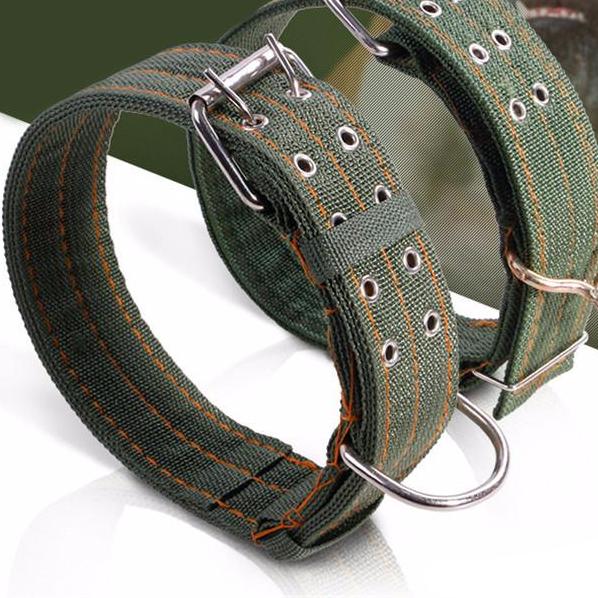 Army Green Adjustable Pet Dog Collar