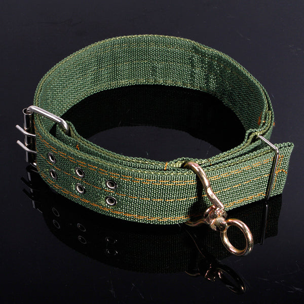 Army Green Adjustable Pet Dog Collar