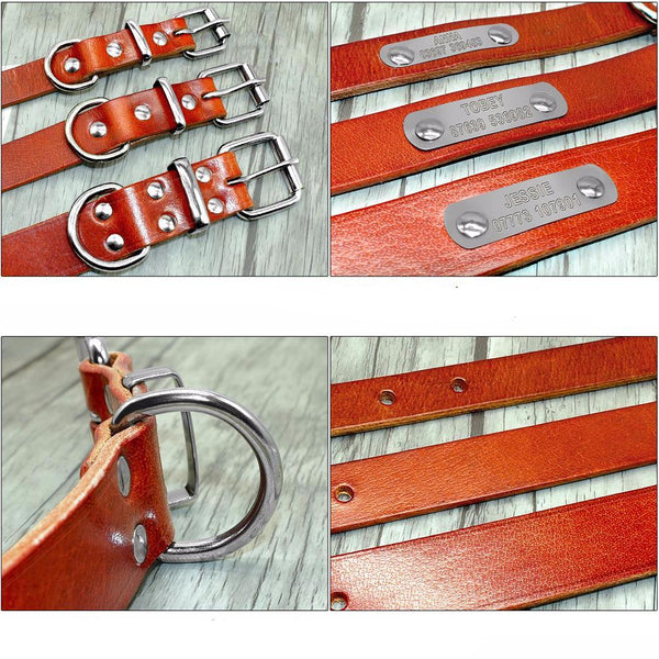 Customized Personalized Dog Collar