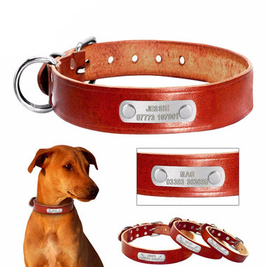 Customized Personalized Dog Collar