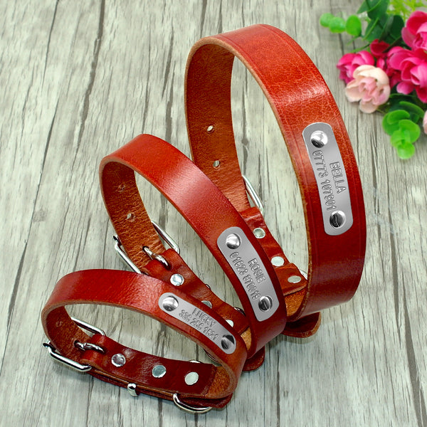 Customized Personalized Dog Collar