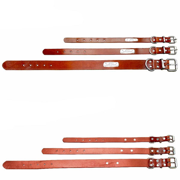 Customized Personalized Dog Collar