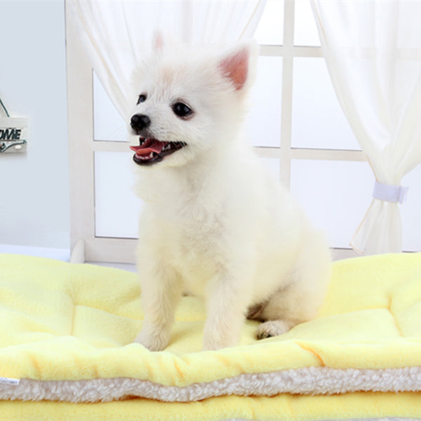 Dog Blanket Fleece