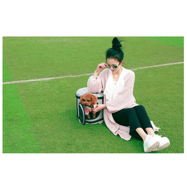 Folding Small Pet Carrier