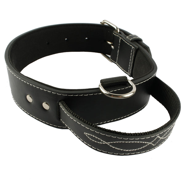 Quick Control Padded Leather Collar