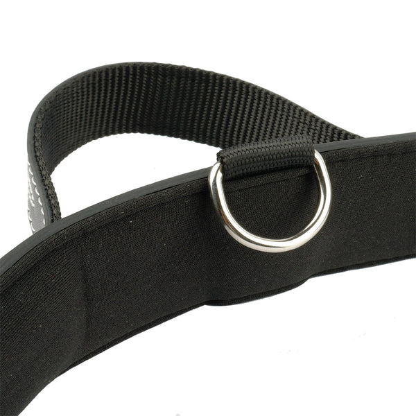 Quick Control Padded Leather Collar