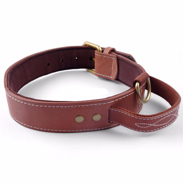 Quick Control Padded Leather Collar