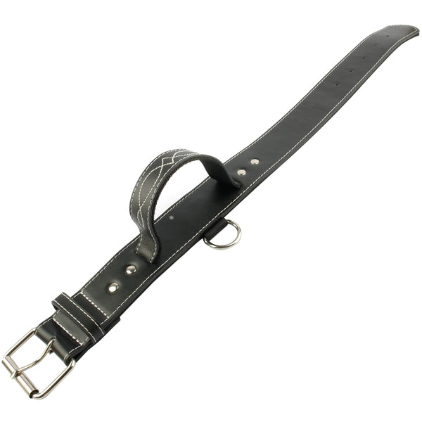 Quick Control Padded Leather Collar