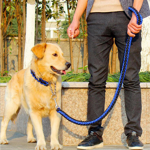Handle Metal Chain Collar