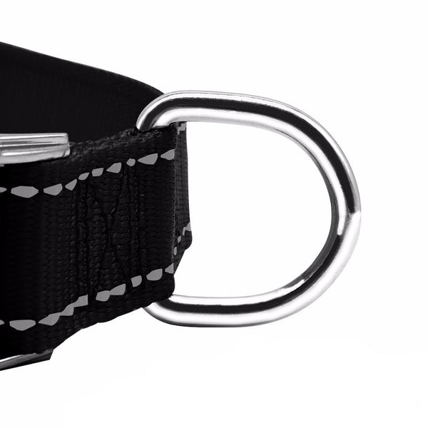 Reflective Engraved Dog Collar