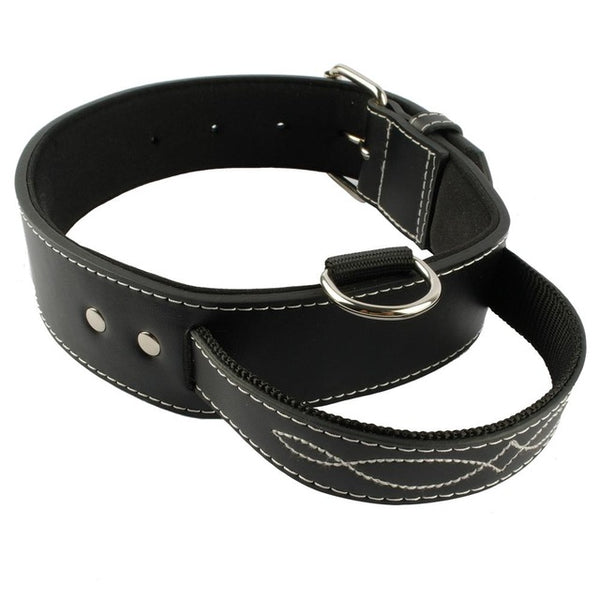 Quick Control Padded Leather Collar