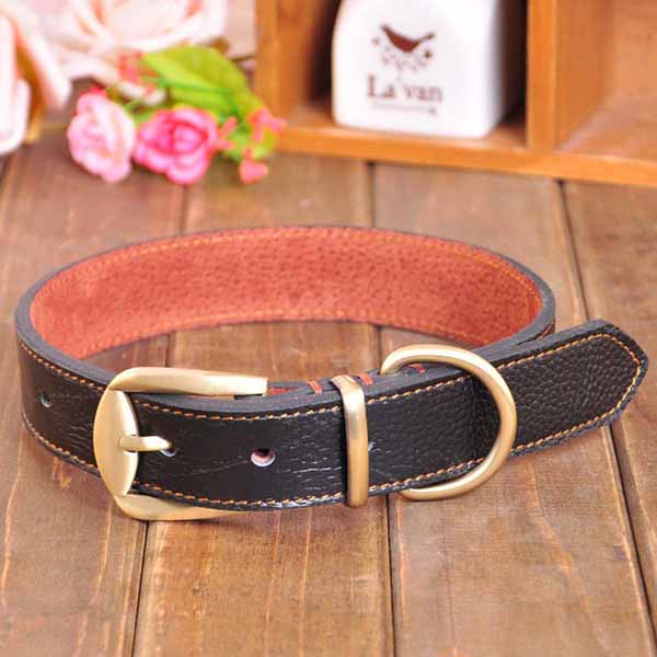 New Genuine Leather Dog Collar