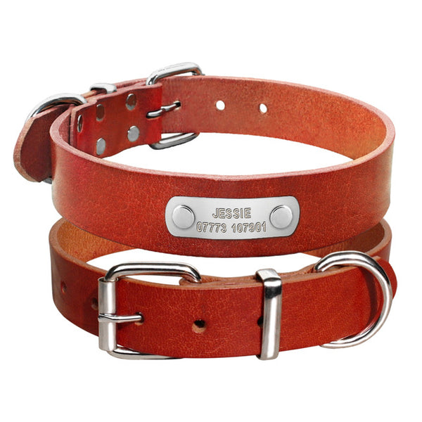 Customized Personalized Dog Collar