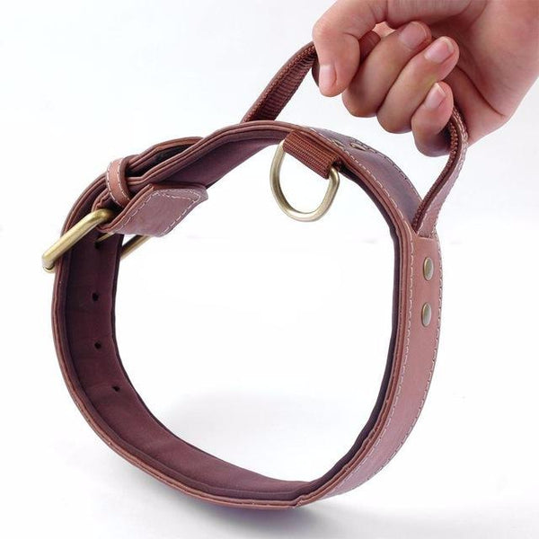 Quick Control Padded Leather Collar