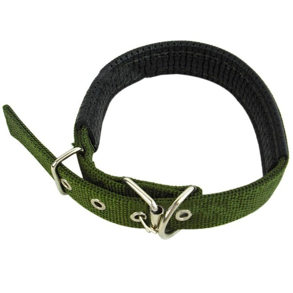 Soft Liner Padded Dog Collar
