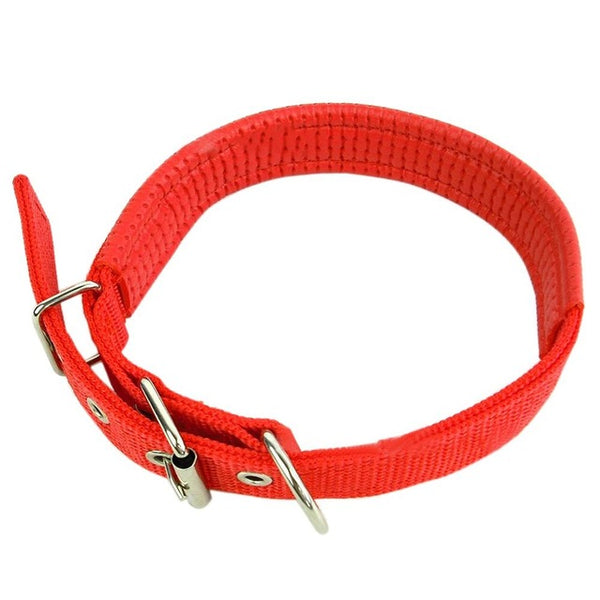 Soft Liner Padded Dog Collar