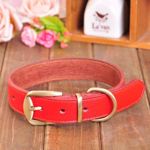 New Genuine Leather Dog Collar