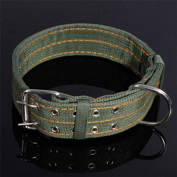 Army Green Adjustable Pet Dog Collar