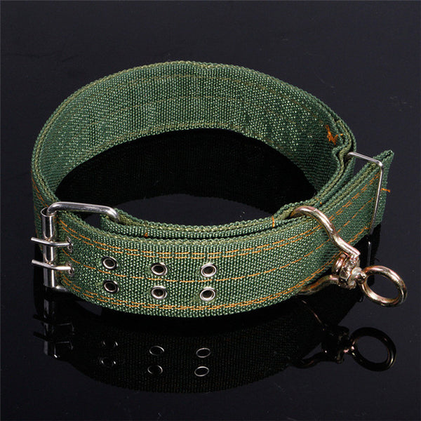 Army Green Adjustable Pet Dog Collar